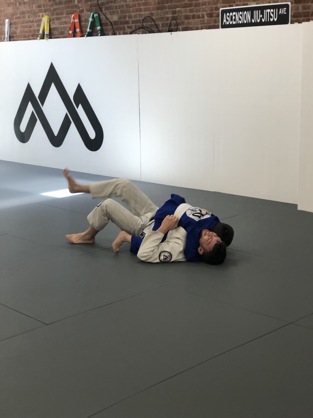 Adult Brazilian Jiu-Jitsu training session